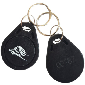 Kingspan RFID key ring