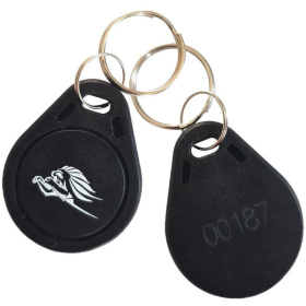 RFID key ring