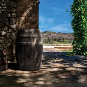 Beczka na deszczówkę Botaqua