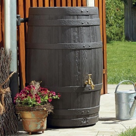 Rainwater barrel Vino